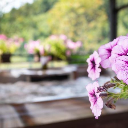 Vila Chalets Runolist Crni Lug Exteriér fotografie